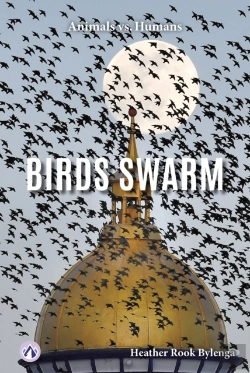 Bertrand.pt - Birds Swarm