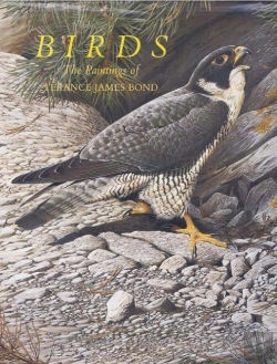 Bertrand.pt - Birds
