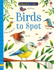 Birds To Spot