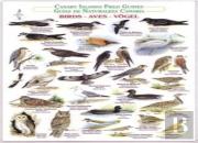 Birds (Waterproof Field Guide)