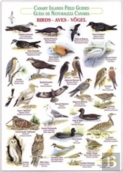 Birds (Waterproof Field Guide)