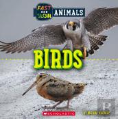 Birds (Wild World: Fast And Slow Animals)