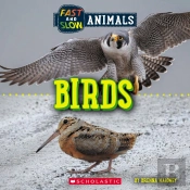Birds (Wild World: Fast And Slow Animals)
