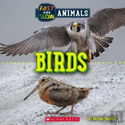 Bertrand.pt - Birds (Wild World: Fast And Slow Animals)