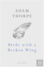 Birds With A Broken Wing