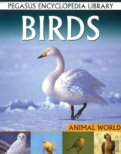Bertrand.pt - Birds