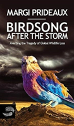 Bertrand.pt - Birdsong After The Storm