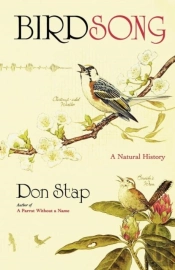 Birdsong