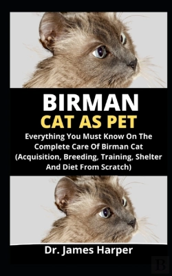 Bertrand.pt - Birman Cat As Pet
