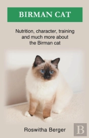 Birman Cat