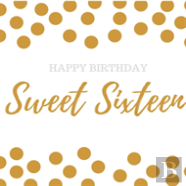 Birthday Guest Book Sweet Sixteen