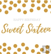 Birthday Guest Book Sweet Sixteen