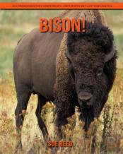 Bison! Ein Padagogisches Kinderbuch Uber Bison Mit Lustigen Fakten