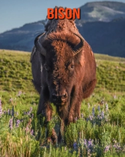 Bertrand.pt - Bison
