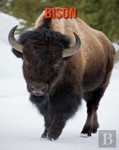 Bison