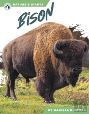 Bison