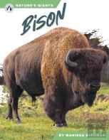 Bison