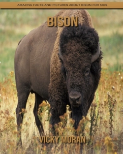 Bertrand.pt - Bison