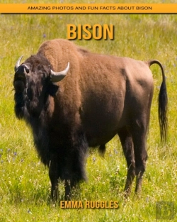 Bertrand.pt - Bison