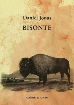 Bertrand.pt - Bisonte