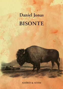 Bertrand.pt - Bisonte