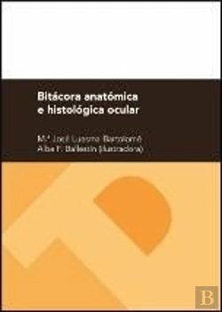 Bertrand.pt - Bitácora Anatómica E Histológica Ocular
