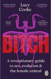 Bitch