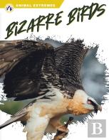 Bizarre Birds
