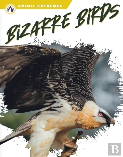 Bertrand.pt - Bizarre Birds