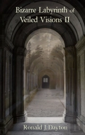 Bizarre Labyrinth Of Veiled Visions Ii