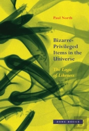 Bizarreâ€“Privileged Items In The Universe Â€“ The Logic Of Likeness