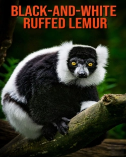 Bertrand.pt - Black-And-White Ruffed Lemur