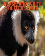 Black-And-White Ruffed Lemur