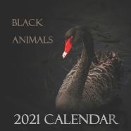 Black Animals 2021 Calendar