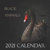 Black Animals 2021 Calendar