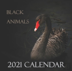 Bertrand.pt - Black Animals 2021 Calendar
