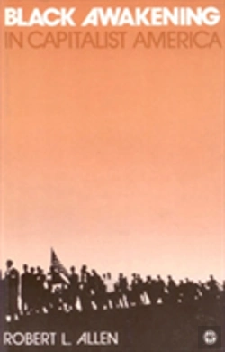 Bertrand.pt - Black Awakening In Capitalist America: An Analytical History
