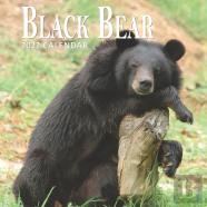 Black Bear Calendar 2022