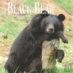 Bertrand.pt - Black Bear Calendar 2022