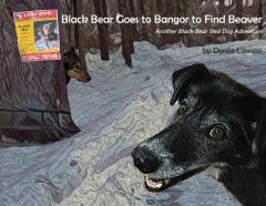 Black Bear Goes To Bangor To Find Beaver