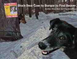 Bertrand.pt - Black Bear Goes To Bangor To Find Beaver