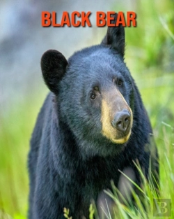 Bertrand.pt - Black Bear