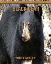 Black Bear