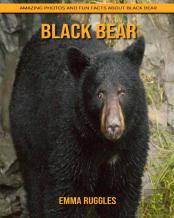 Black Bear