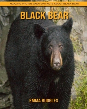 Black Bear