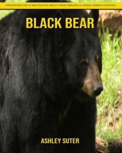 Bertrand.pt - Black Bear