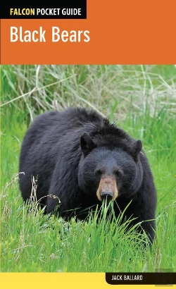 Bertrand.pt - Black Bears