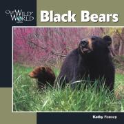 Black Bears