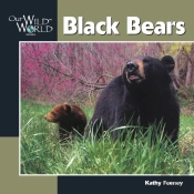 Black Bears