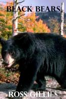 Black Bears